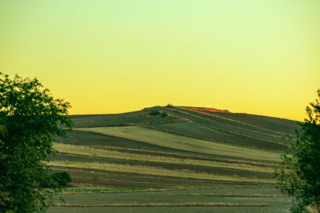 Plowed crop fields covering a small mound at sunset