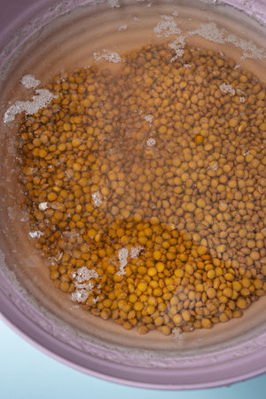 Lentils with chorizo and bacon cooked to perfection, showing how the broth has naturally thickened...