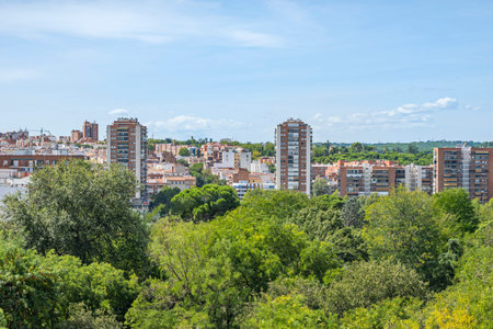Urban alley with light poles and a few common treesの写真素材