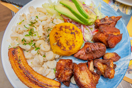 An Ecuadorian churrasco features a juicy beef steak, a fried egg on a potato tortilla, avocado, and rice and beansの写真素材