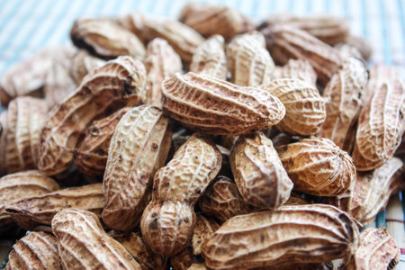 Boiled Peanutsの写真素材