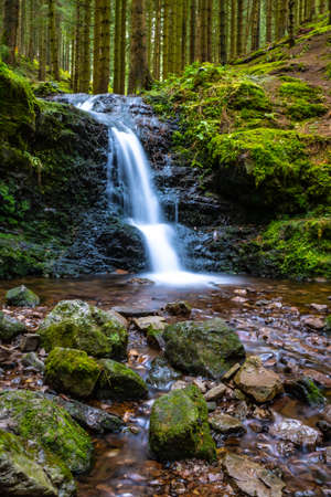 Waterfall in a forest with flowing waterの写真素材
