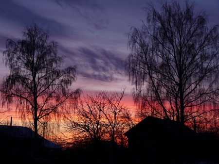 sunset, village, winter, clouds, trees, houses, sky,flora and fauna, nature, architecture, landscapeの写真素材