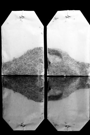 The tea bags isolated on black.の写真素材