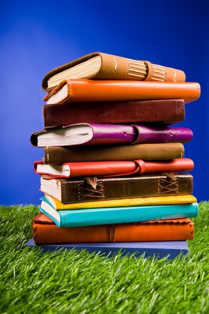 Books in the grassの写真素材