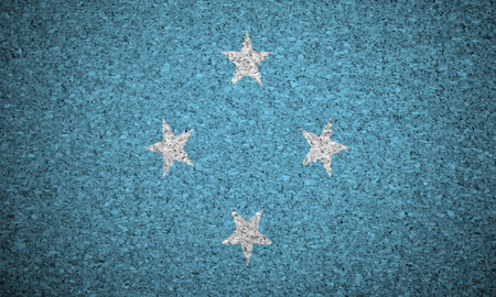 The Micronesia flag painted on a cork board.