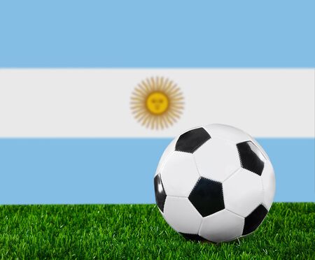 The Argentine flag and soccer ball on the green grass.の写真素材