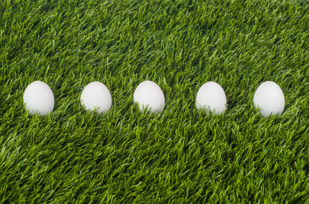 eggs is in the green grass  Close-up 