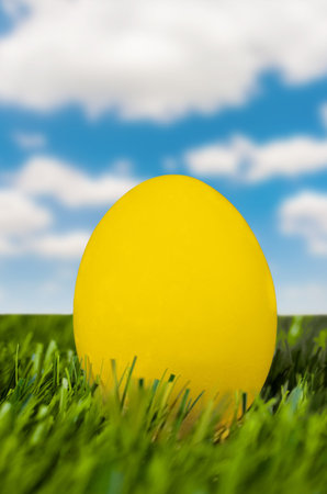 Eggs in the green grass against the sky 