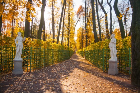  Summer garden  park in Saint Petersburg Russiaの写真素材