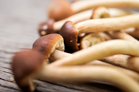 prepare mushroom for cooking, mushroom on wooden table backgroundの写真素材