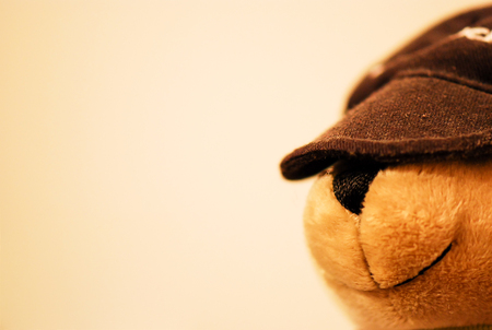 Bear doll on the right side, background space on left sideの写真素材