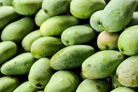 Group of Green mangoes, tropical fruits, Thailandの写真素材