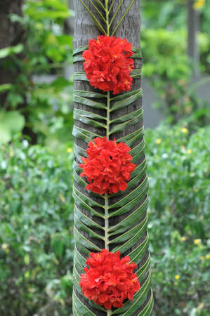 Decoration flower on the tree, red flower and green leaf on the tree.の写真素材