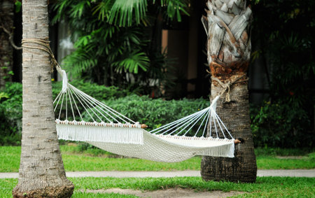 Summer garden with hanging hammock for relaxationの写真素材