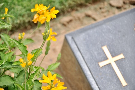 lawn in a cemetery with headstones in the background at Kanchanaburi War Cemetery in Thailand.の写真素材