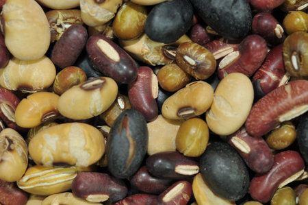 Soy beans, Red beans, black beans, Peanut, and green beans with the health benefits of whole grain....