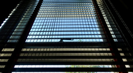 evening sun light outside with wooden window blinds, decorative interior home concept