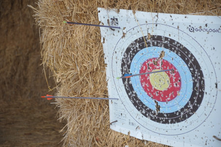 Archery target with arrow in archery range, closeup of photoの写真素材