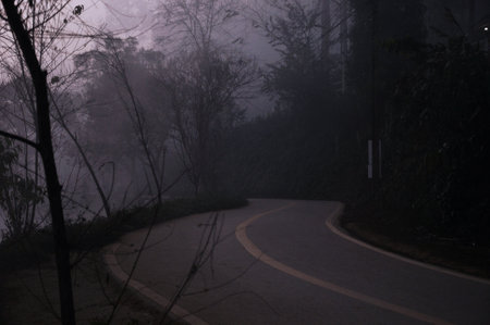 Road in the mist at Doi Inthanon National Park, Chiang Mai, Thailandの写真素材