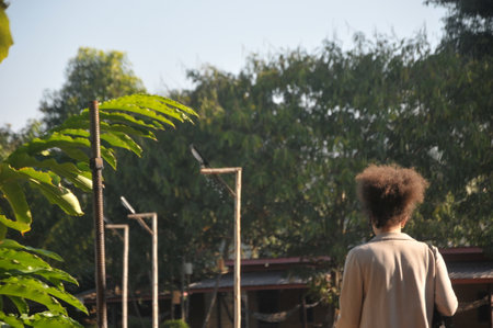 Rear view of a young african american woman standing in front of a fenceの写真素材