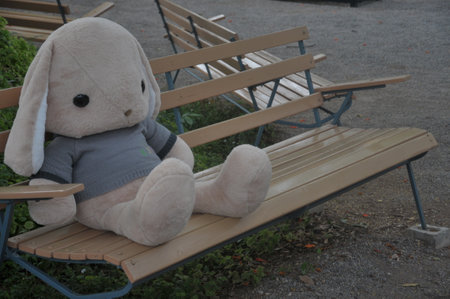 Teddy bear sitting on a bench in the park, soft toyの写真素材