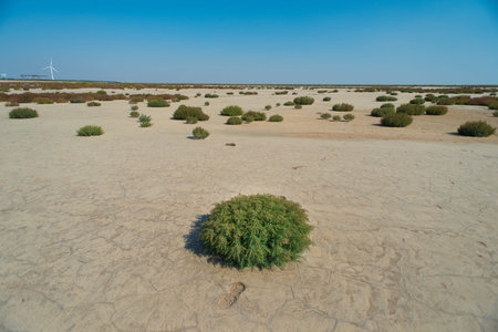 Dongtai coastal beachの写真素材