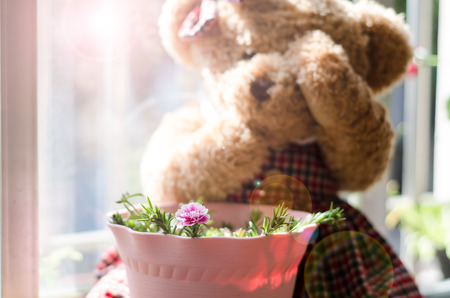 The window sill and teddy bearの写真素材