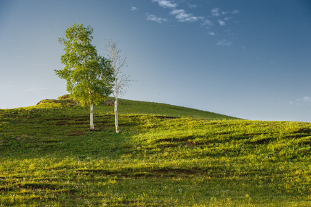 Blue sky , white clouds and the green and flat pastureの写真素材