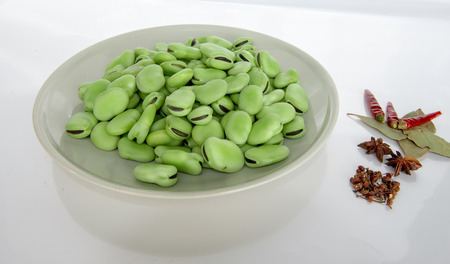 Fresh broad bean in springの写真素材