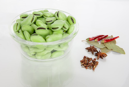 Fresh broad bean in springの写真素材