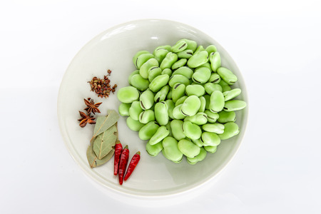 Fresh broad bean in springの写真素材