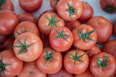 fresh tomatoes.の写真素材