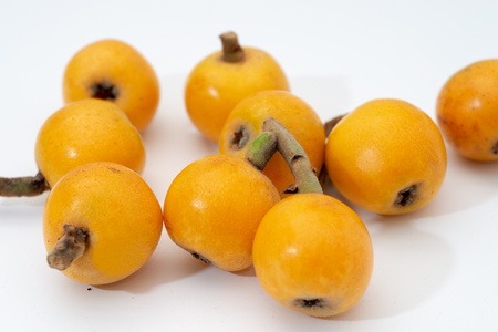 fruits on a white backgroundの写真素材