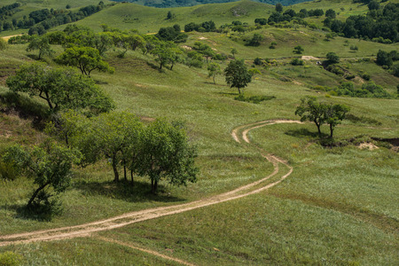 Bashang grasslandの写真素材