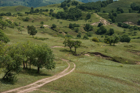 Bashang grasslandの写真素材