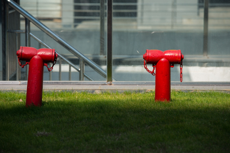 Red fire hydrant on green grassの写真素材
