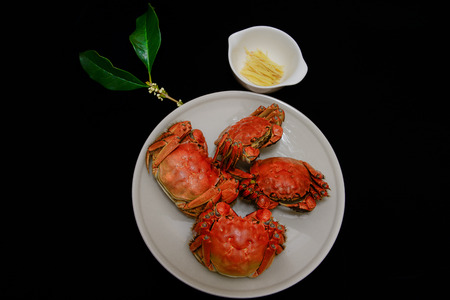 Yangcheng Lake mid autumn crabの写真素材