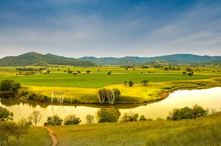 Bashang grasslandの写真素材