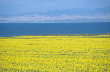 Qinghai Province,China
