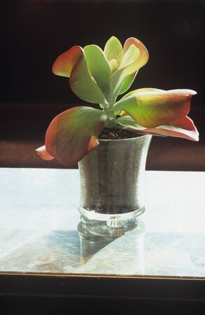 Madison Hotelの写真素材