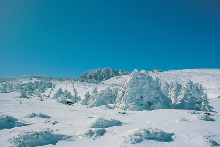 Nature sceneの写真素材