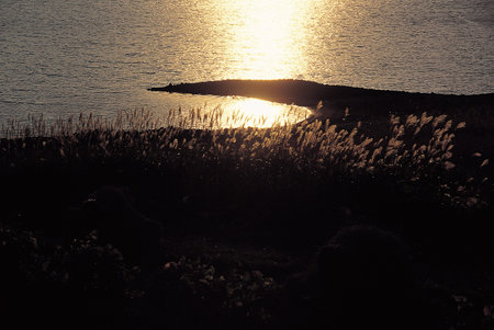 Nature sceneの写真素材