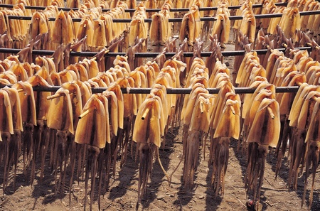 Nature sceneの写真素材