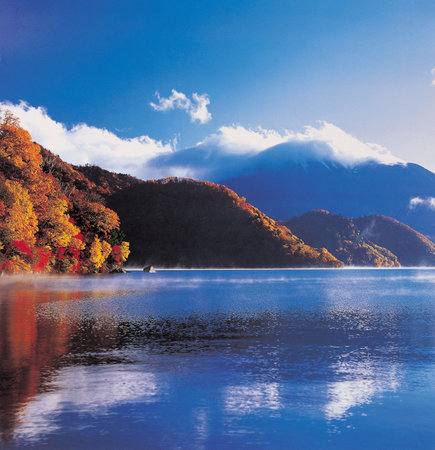 Nature scene