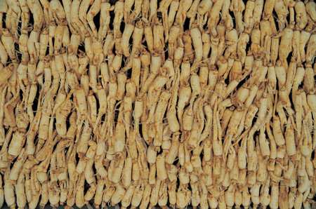 Travel in Koreaの写真素材