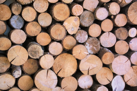 Wood