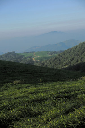Rural scene