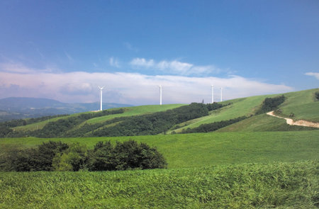 Landscape