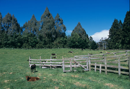 Fenceの写真素材